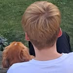 Sam & Nell - @nell_the_golden_spaniel20 - Instagram