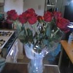Nell Gordon - @gordonnell - Instagram