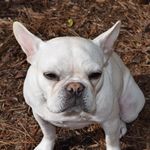 Bella Luna Nell Graham - @bella_luna_graham - Instagram