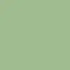 green_nell_ - @green_nell_ - TikTok