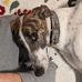 Nell Hammond - Facebook