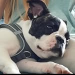 Nell - @nell123harper - Instagram