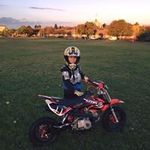 Harvey Bignell - @harveybignell - Instagram