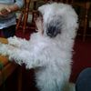 Nelli_the_gymnast - @nellijimenez - TikTok