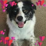 nell long - @nelllong53 - Instagram