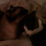 Nell Turner Long - @nelllong - Instagram