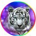 Mccan Negall - Facebook