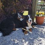 Nell Murphy - @nell.murphy.108 - Instagram