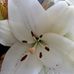 Nell Murphy - Facebook
