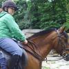 Kathleen - @nellmurray4 - TikTok