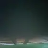 mnbiouhf - @nellowens1970 - TikTok