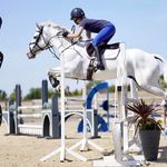 Nelly Stephens😀😀 - @nelly.eventing - Instagram