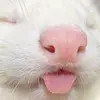 🦢Nellavera🦢 - @nellaveraa - TikTok