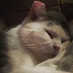 Nellie Bailey - @nellie_belly_full_of_jelly - Instagram