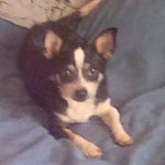Nellie Bailey - @nelliebailey2002 - Instagram