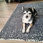 Nellie Ball - @nelly.ball - Instagram