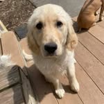 Nellie Ball Obringer - @whoa_nelliee - Instagram