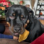 Nellie - @nellieblackbeauty - Instagram