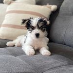 Nellie Brady - @nellie.f.bean - Instagram
