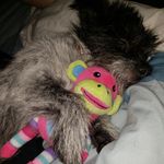Nellie Brady-McAulay - @nellie_furtad0 - Instagram