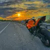 nelli_bugg - @nelli_bugg - TikTok