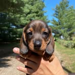 Nellie Bird - Facebook