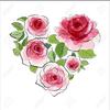 Nellie Chan735 - @user3446597643121 - TikTok
