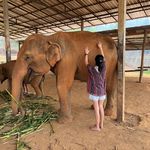 Nellie Chan - @nellie.cyy - Instagram