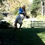 Nellie Coe - @run.like_the.wind - Instagram