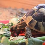 Nelly Coleman - @nellycolemansadventures - Instagram