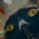 Nellie Collins - @nellie17171717 - Instagram