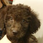 @nellie.cross.2021 - Instagram