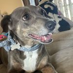 Nellie Dean - @nelliethegoblin - Instagram