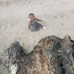 Nelly Dickson - Facebook