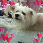 Nelly Dickson - @nelly.dickson.52 - Instagram