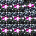 @nelliegardnerf - Instagram