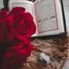 حور❤️🥀 - @nelliegilmore - TikTok