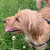 Good Girl Nellie - @goodgirlnellie - TikTok
