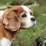 Nellie Jane Goodman - @nelliegoodman2002 - Instagram