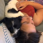 Nellie Grace - @nellie.g.the.mutt - Instagram