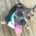 Nellie Grace - @peanutbutta_nellietime - Instagram