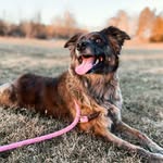 Nellie Grace - @nelliegrace2.0 - Instagram