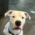 Nellie Grace Easterling - @nelliegraceeasterling - Instagram