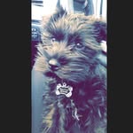 Nellie Grace Poret👑 - @iamnellieg_ - Instagram