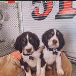 Ellie & Granger - @ellie_and_granger - Instagram