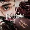 Gryffindor - @nelliegranger - TikTok