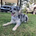 Nellie Mae Greer - @nellie_aag - Instagram