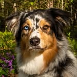 Nellie Gregory - @whoanellietheaussie - Instagram