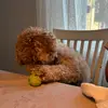 Nellie - @nellie.griffiths - TikTok