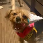 Ellie Mae Harrell - @smelliebharrell - Instagram